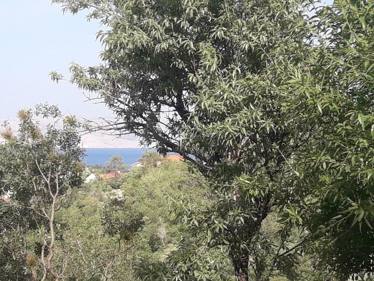 Apartment Tin Senj  Buitenkant foto